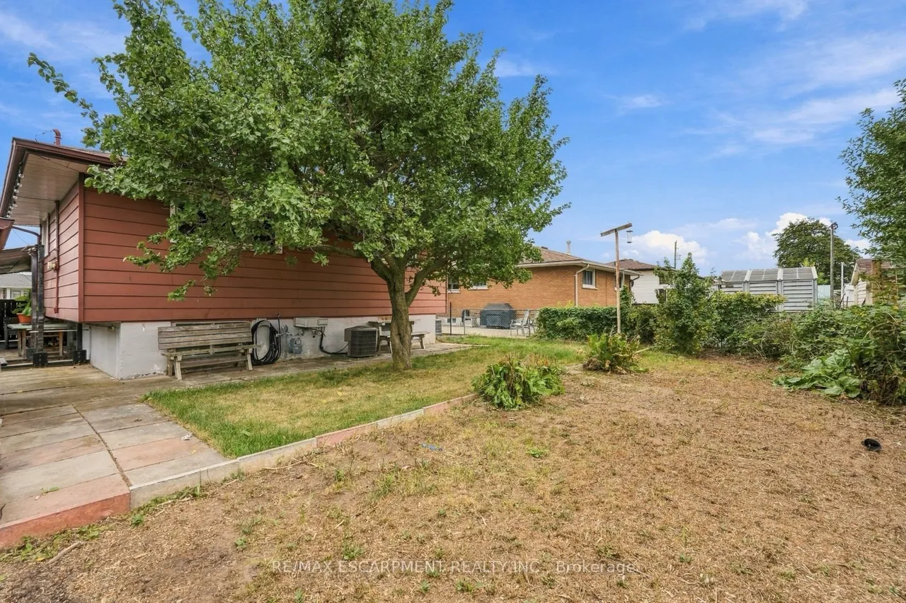 19 Ellingwood Avenue — photo 23