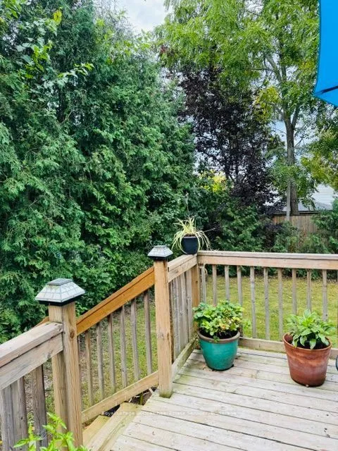 107 Norwood Road — photo 4