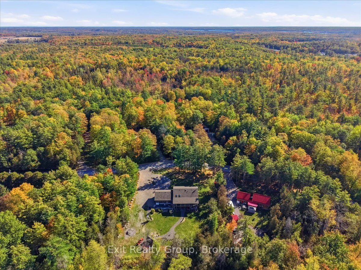 181 Jarvis Road — photo 49